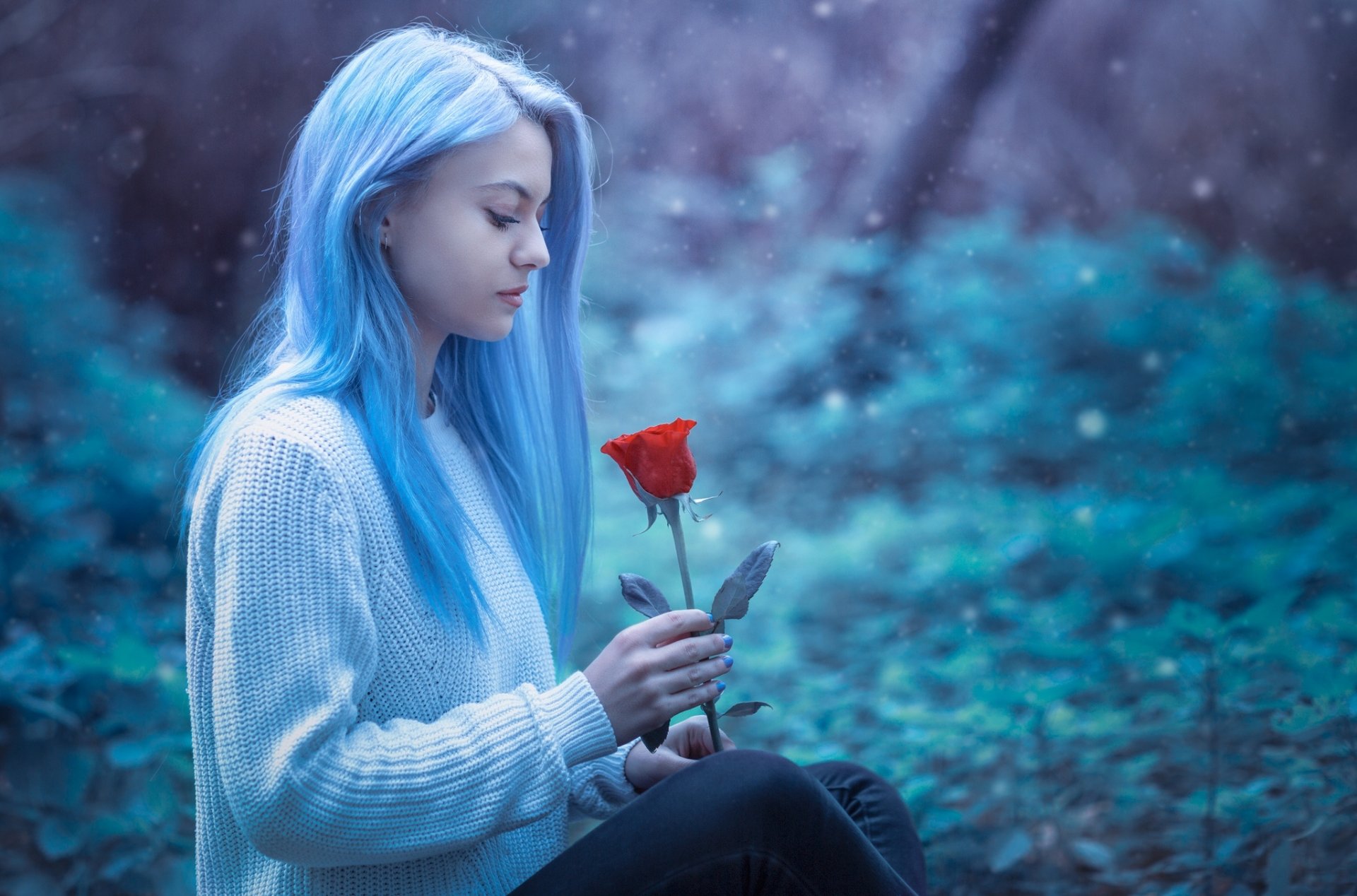 A model with blue hair sits in a serene, blurred forest background, holding a red rose. She wears a white sweater, giving a contemplative, dreamy mood. The image is a high-definition desktop wallpaper.