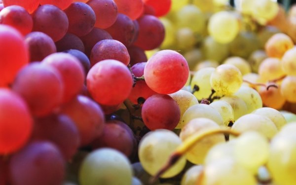 Food Grapes Fruits Fruit HD Wallpaper | Background Image