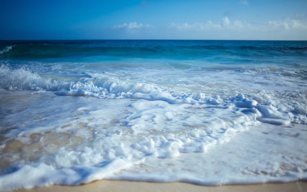 foam horizon nature ocean HD Desktop Wallpaper | Background Image