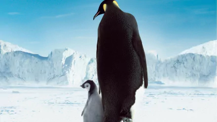 baby animal penguin movie March Of The Penguins HD Desktop Wallpaper | Background Image