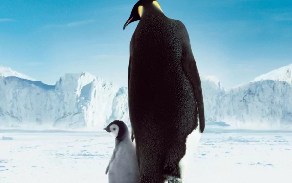 baby animal penguin movie March Of The Penguins HD Desktop Wallpaper | Background Image