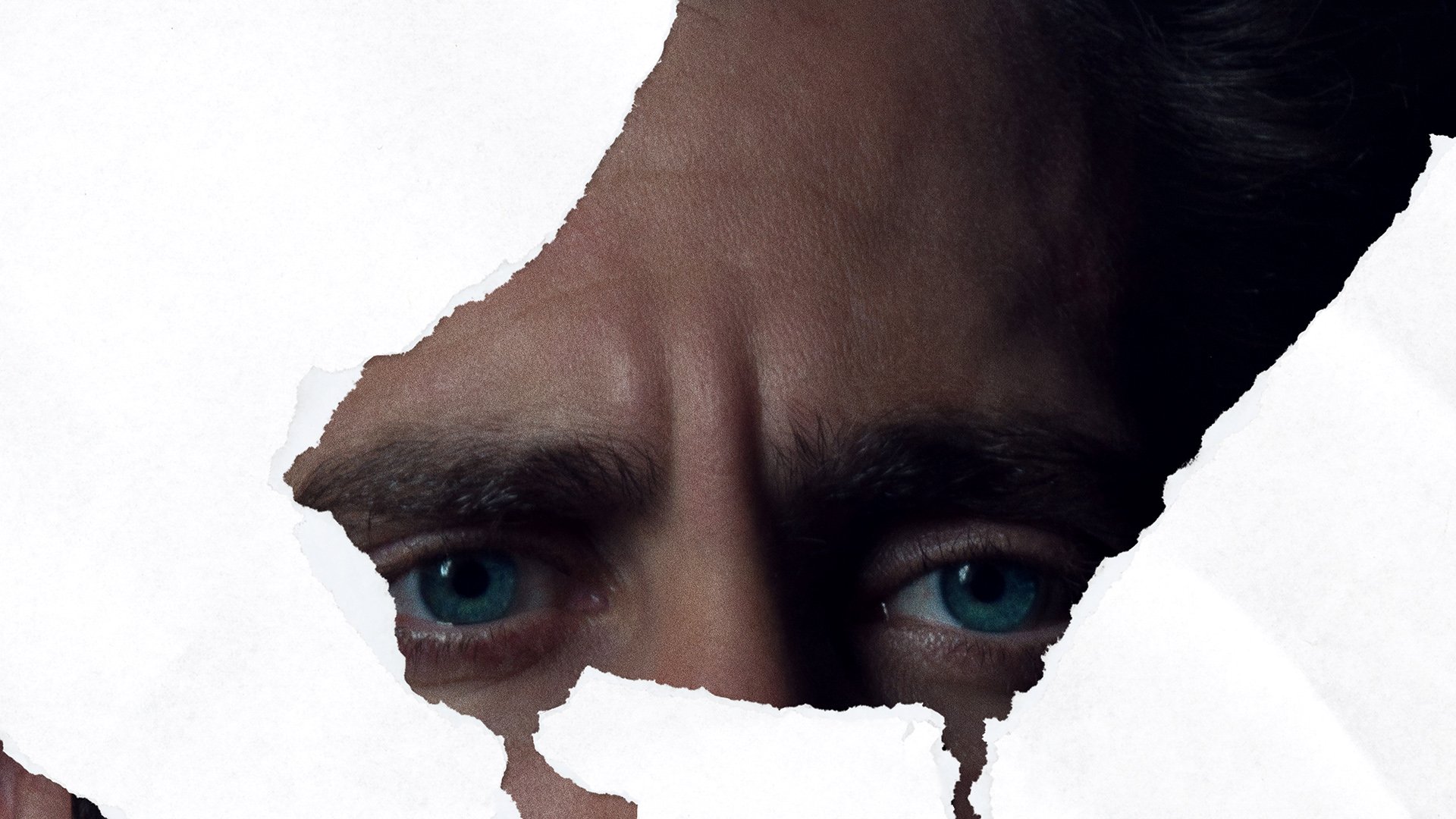 Download Jake Gyllenhaal Movie Nocturnal Animals HD Wallpaper