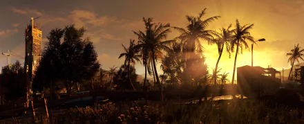 Harran (Dying Light) HD PC desktop wallpaper and background: golden sunset through palm trees and overgrown roadway in the Dying Light video game.