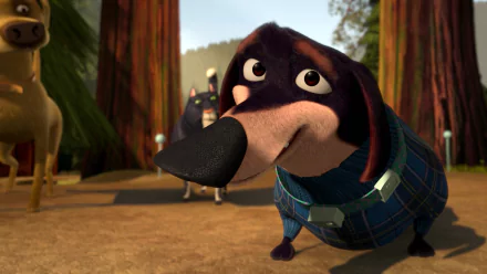 movie Open Season 2 HD Desktop Wallpaper | Background Image