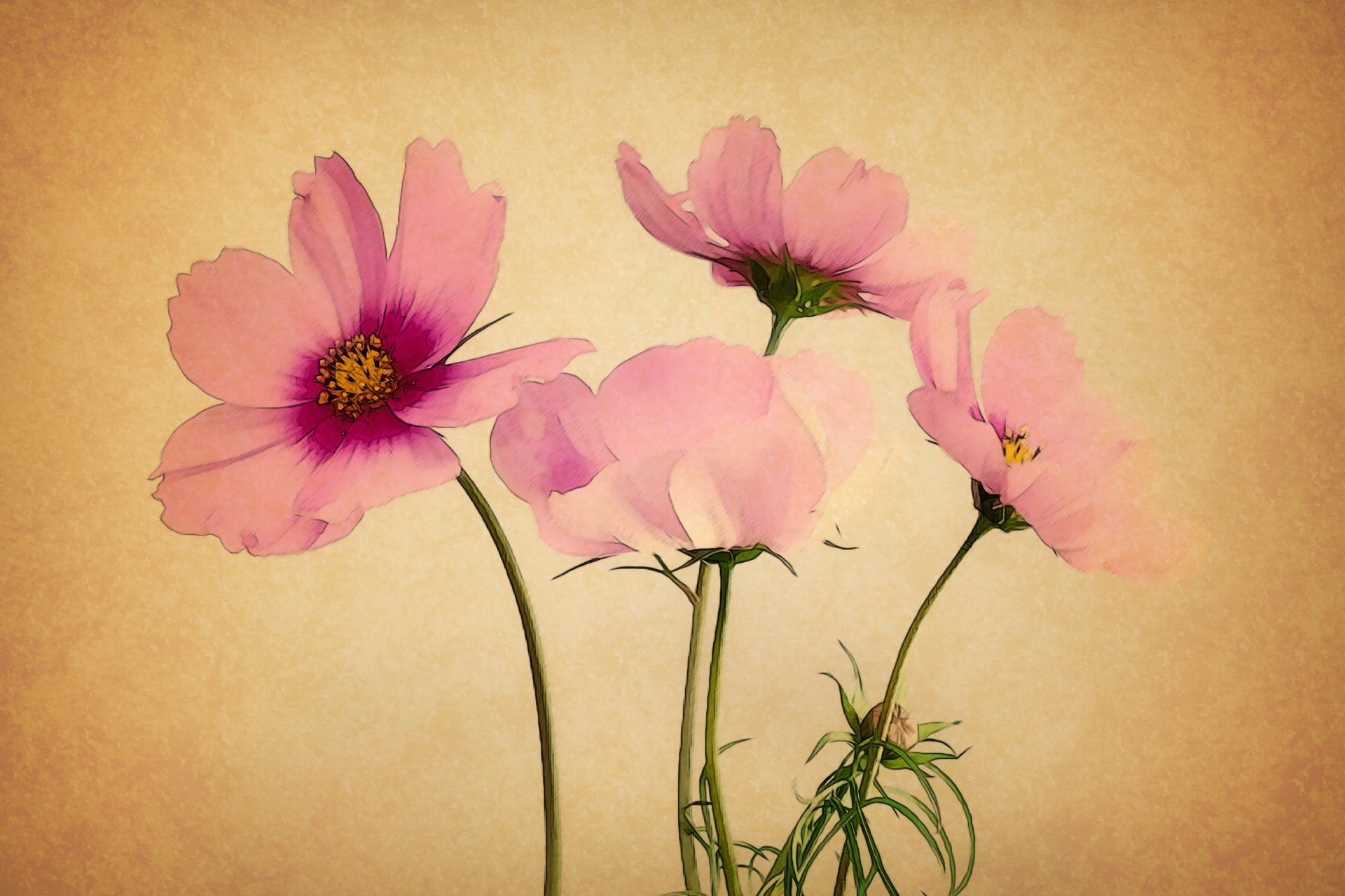 Artistic painting of pink Cosmos flowers on a textured beige background, rendered as a 4K Ultra HD PC desktop wallpaper and background.