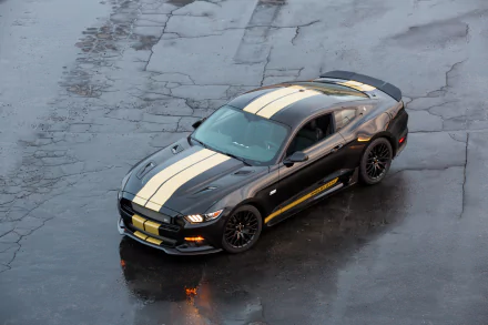 Black Ford Mustang Shelby GT muscle car with gold racing stripes, shown on a wet pavement in this 4K Ultra HD desktop wallpaper and background image.