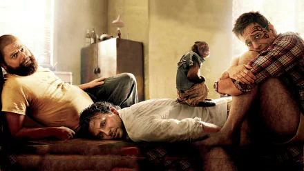 Ed Helms Zach Galifianakis Bradley Cooper movie The Hangover Part II HD Desktop Wallpaper | Background Image