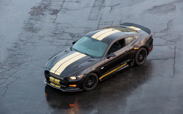 Black Ford Mustang Shelby GT muscle car with gold racing stripes, shown on a wet pavement in this 4K Ultra HD desktop wallpaper and background image.