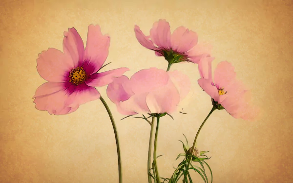 Artistic painting of pink Cosmos flowers on a textured beige background, rendered as a 4K Ultra HD PC desktop wallpaper and background.