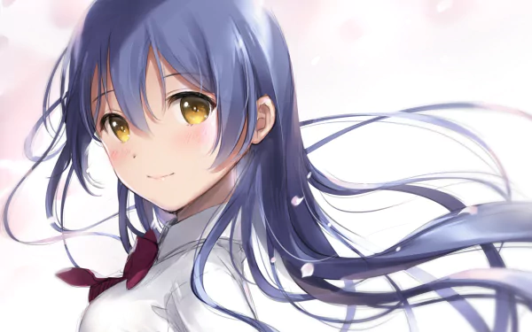 HD anime desktop wallpaper featuring Umi Sonoda from Love Live!, showcasing her flowing dark blue hair and gentle expression against a soft pastel background.