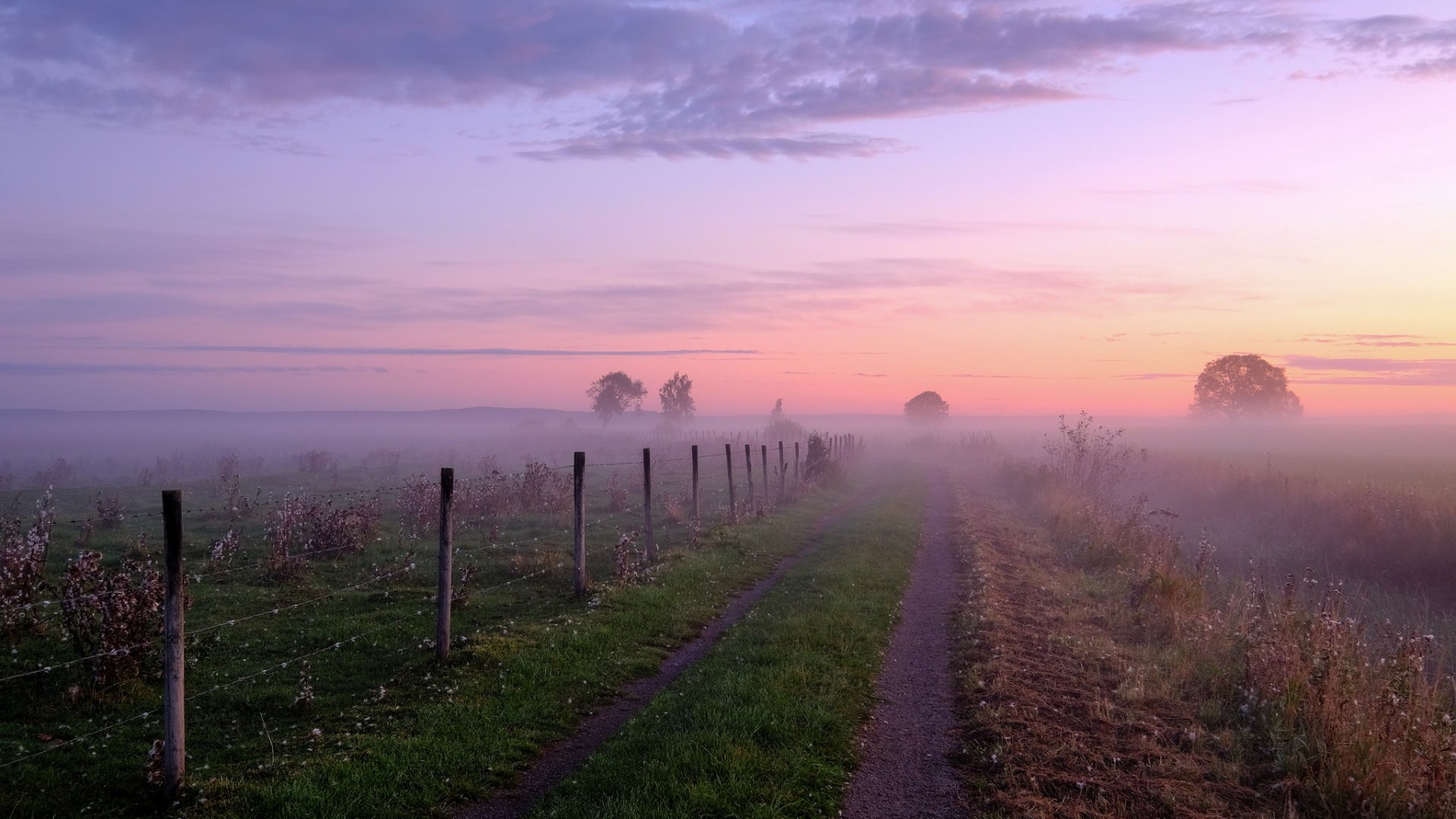A serene HD desktop wallpaper featuring a fog-covered dirt road at sunrise, with soft pastel skies and nature on either side, creating a tranquil and calming atmosphere.