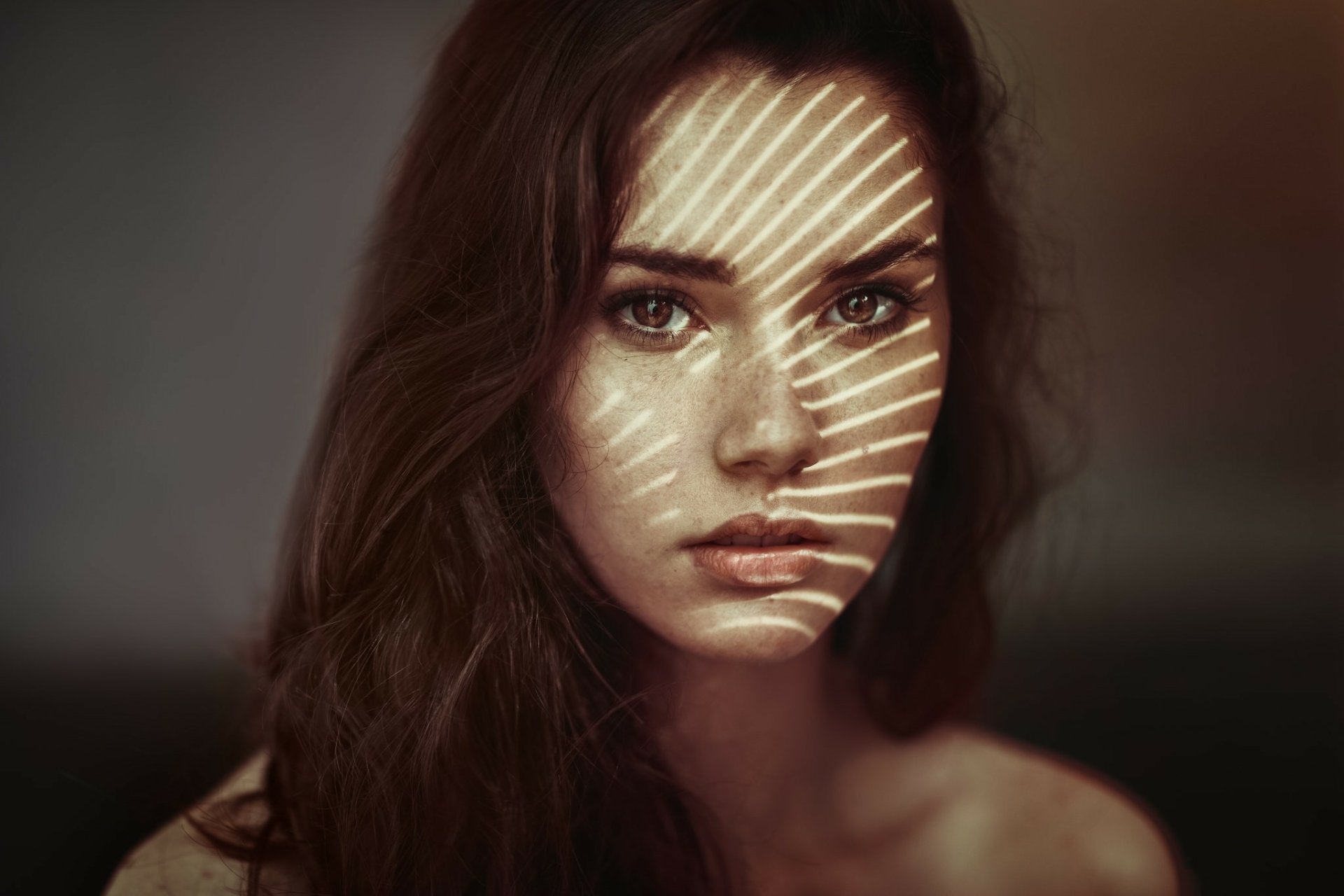 Download Face Light Shadow Brown Eyes Freckles Brunette Woman Model HD Wallpaper by PortraitsBySam
