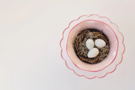 egg Animal nest HD Desktop Wallpaper | Background Image
