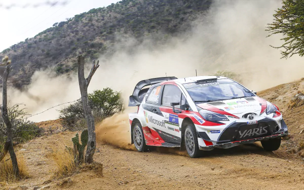 Rally race car kicking up dirt as it speeds through a rugged desert track, captured in striking 4K Ultra HD detail.