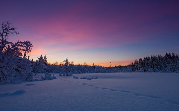 Earth Winter Nature Snow HD Wallpaper | Background Image