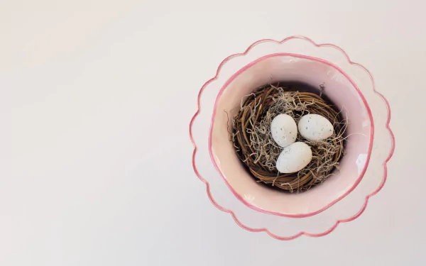 egg Animal nest HD Desktop Wallpaper | Background Image