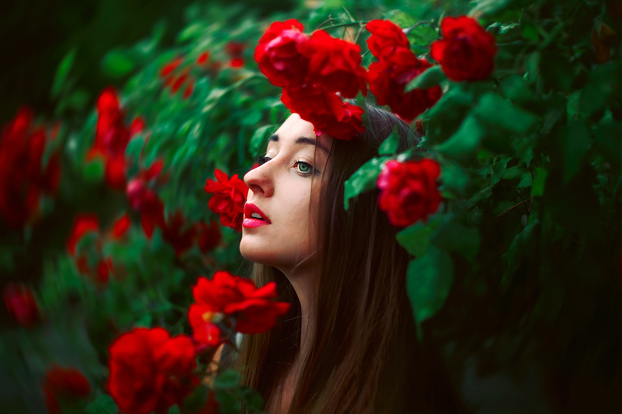 Download Red Flower Flower Lipstick Brunette Green Eyes Model Woman ...