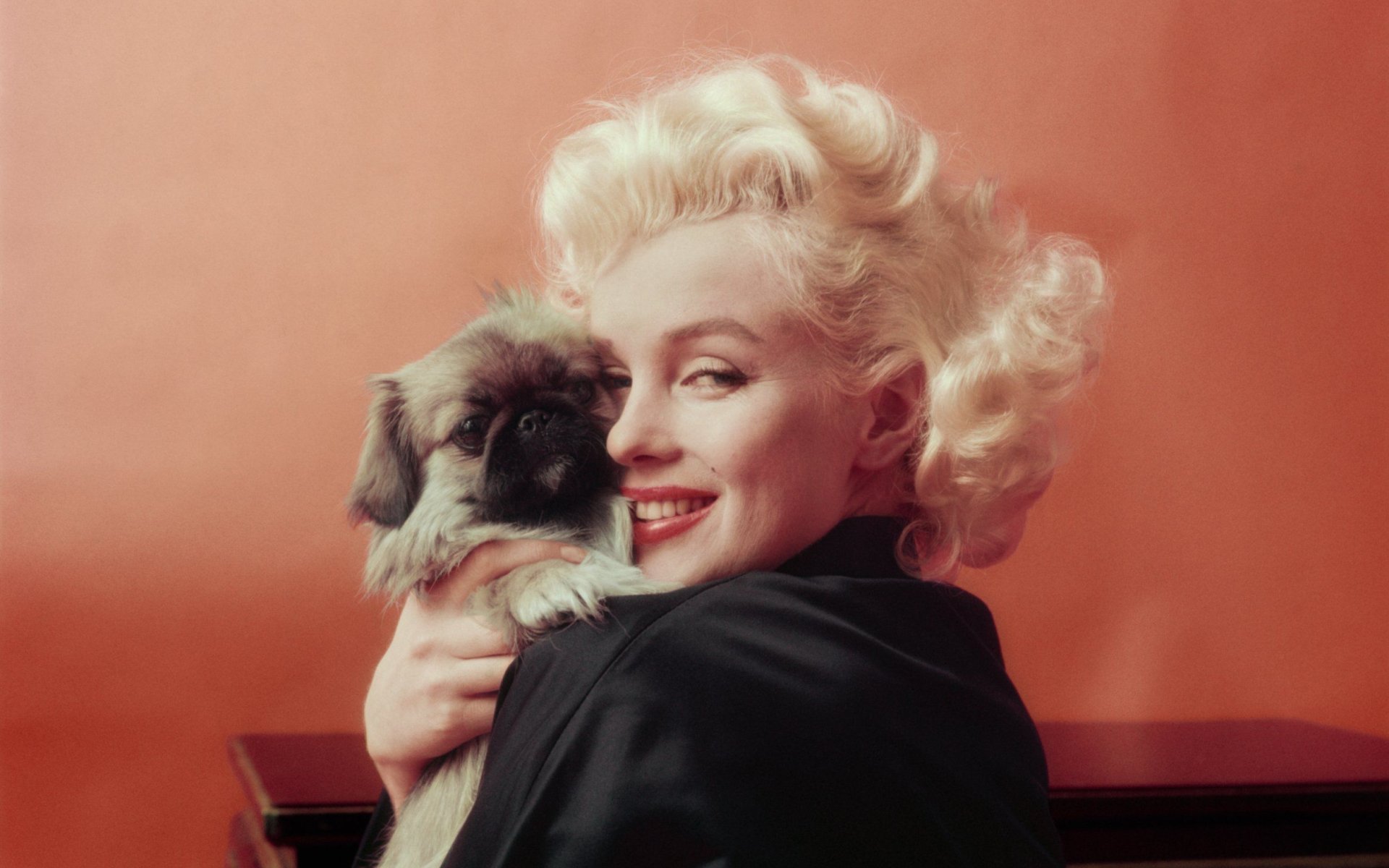 HD desktop wallpaper featuring a smiling Marilyn Monroe holding a small puppy against a warm peach background.