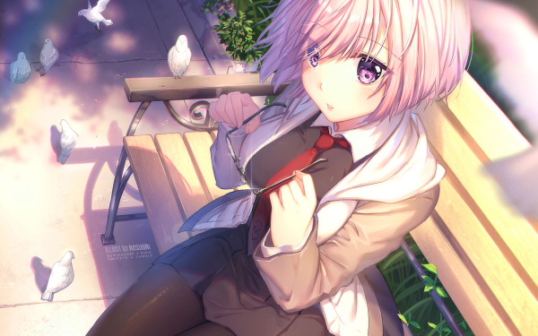 Anime Fate/Grand Order Fate Series Shielder HD Wallpaper | Background Image