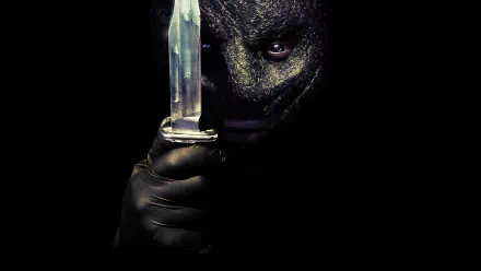 movie The Collection HD Desktop Wallpaper | Background Image