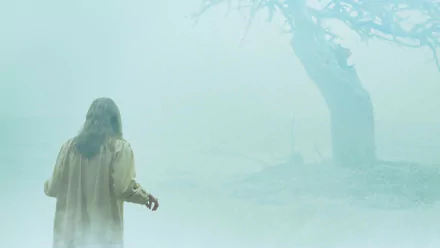 movie The Exorcism Of Emily Rose HD Desktop Wallpaper | Background Image