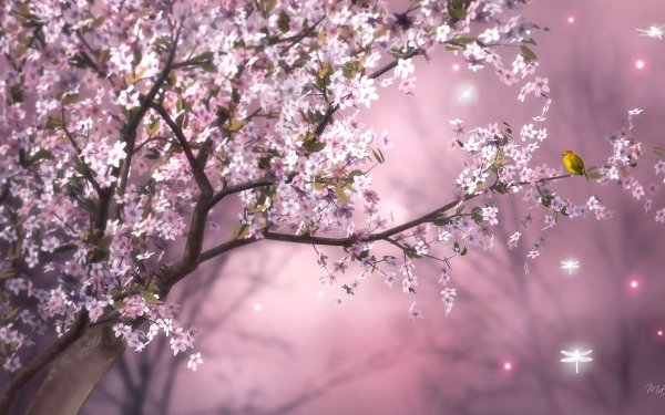 Artistic Spring Cherry Tree Branch Blossom Bird Pink Flower HD Wallpaper | Background Image