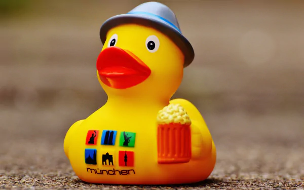 rubber duck man made toy HD Desktop Wallpaper | Background Image