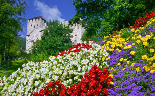  Springtime in Tyrol, Austria