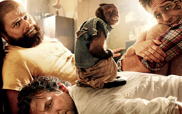 Zach Galifianakis Ed Helms Bradley Cooper movie The Hangover Part II HD Desktop Wallpaper | Background Image