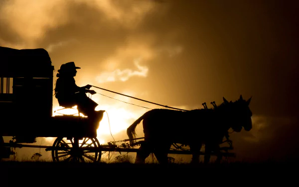 movie The Homesman HD Desktop Wallpaper | Background Image