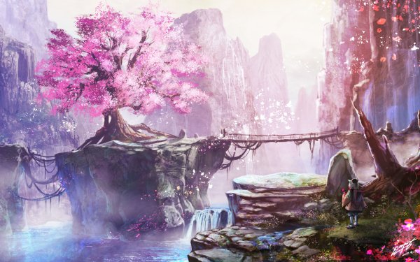Anime Landscape Cherry Blossom Tree Blossom Nature HD Wallpaper | Background Image