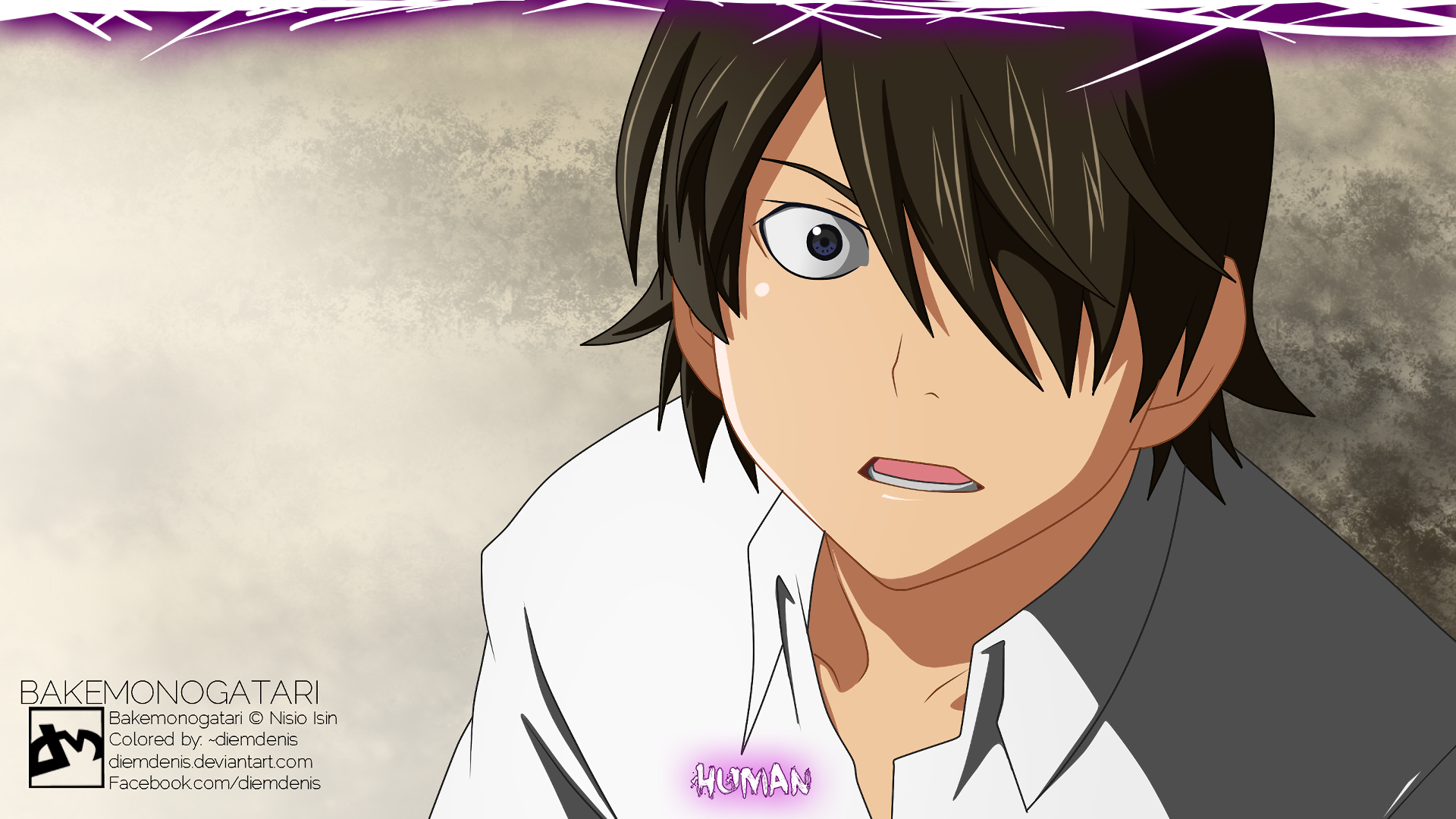 Download Koyomi Araragi Anime Monogatari (Series) HD Wallpaper