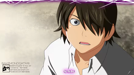 Koyomi Araragi Anime Monogatari (Series) HD Desktop Wallpaper | Background Image