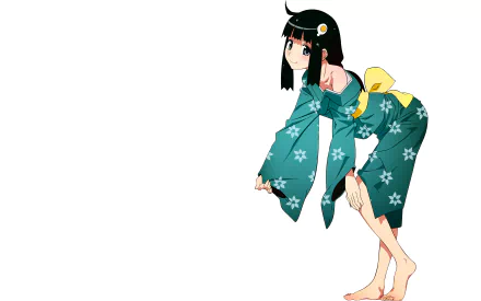 Tsukihi Araragi Anime Monogatari (Series) HD Desktop Wallpaper | Background Image