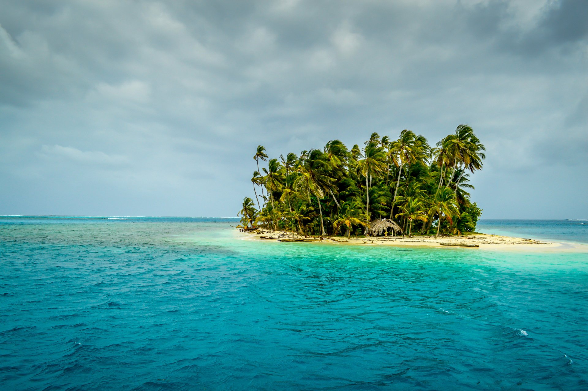 Download Horizon Tropical Sea Ocean Palm Tree Nature Island Tree 4k ...