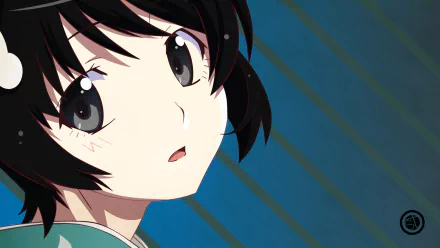 Tsukihi Araragi Anime Monogatari (Series) HD Desktop Wallpaper | Background Image