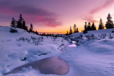 HD winter desktop wallpaper showing a snowy landscape with trees silhouetted against a vibrant sunset sky.