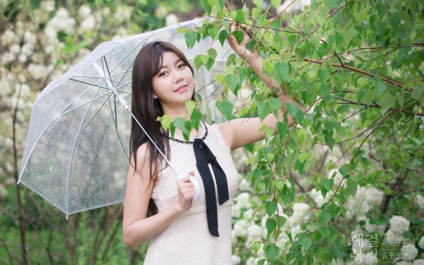 Women Asian Brunette Brown Eyes Umbrella HD Wallpaper | Background Image