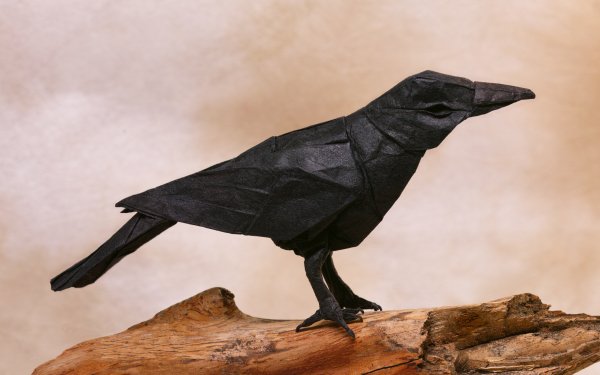 Man Made Origami Bird Crow HD Wallpaper | Background Image