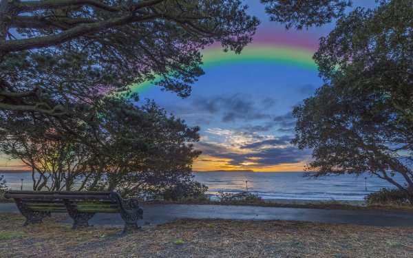 Nature Rainbow Lake Spring Tree Bench HD Wallpaper | Background Image