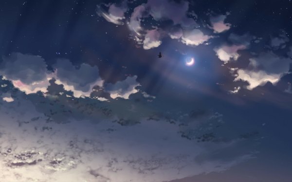 160+ 5 Centimeters Per Second HD Wallpapers | Background Images