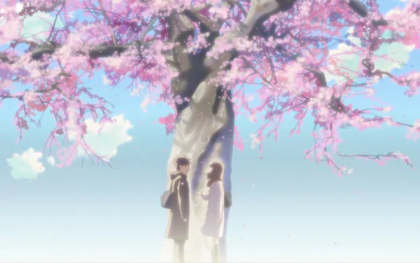 Anime-style HD desktop wallpaper from 5 Centimeters per Second, depicting two characters standing beneath a blooming cherry blossom tree with soft pastel colors.