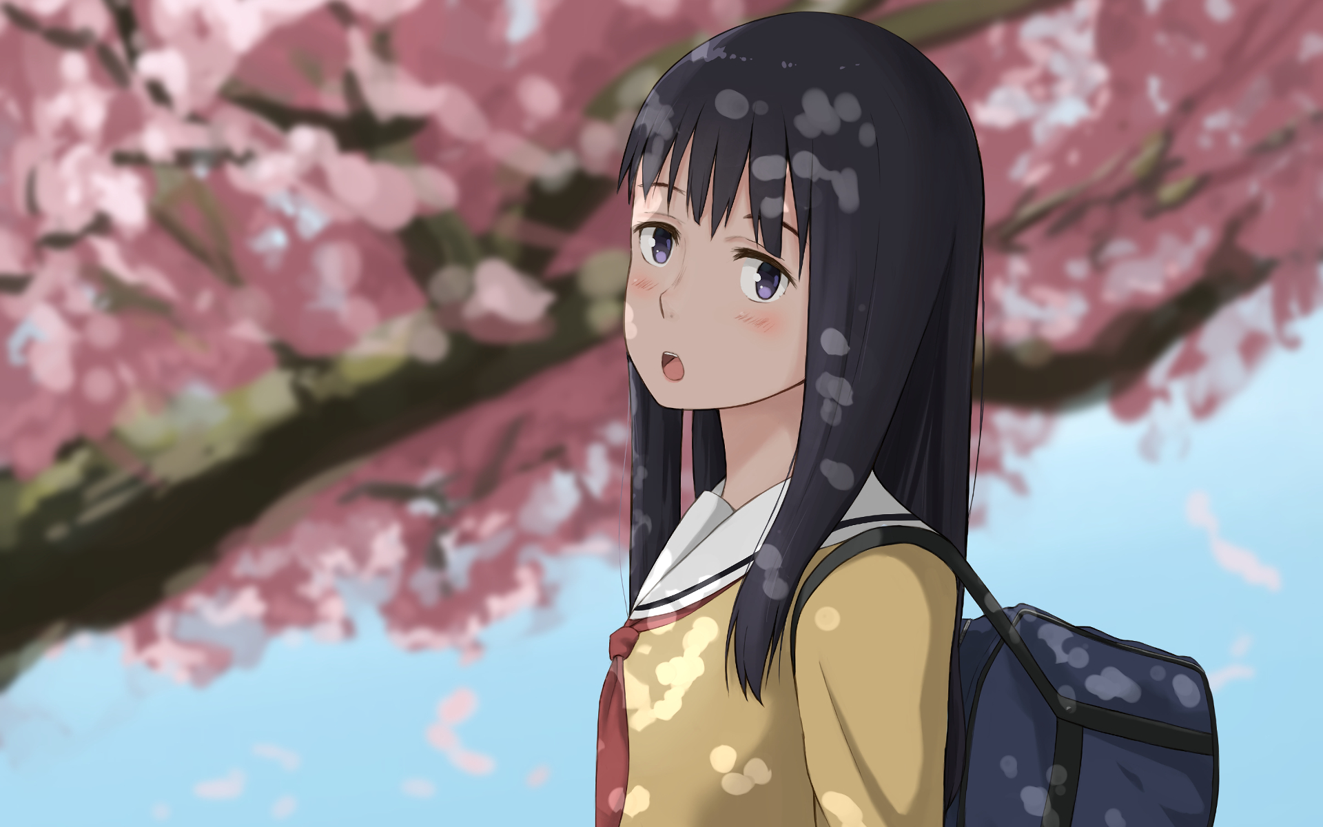 Anime Koe No Katachi HD Wallpaper | Background Image