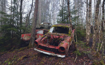 HD desktop wallpaper of a forest with tall trees surrounding an old, moss-covered red car wreck, blending naturally into the overgrown woodland setting.