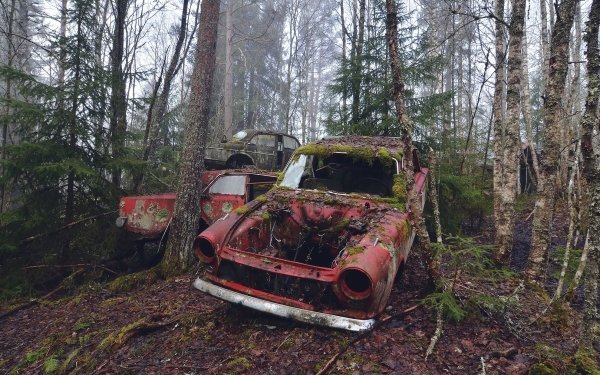 Vehicles Wreck Car Forest Tree HD Wallpaper | Background Image