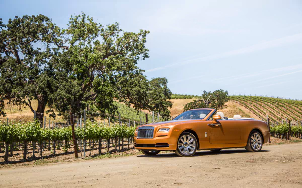 orange car grand tourer car Rolls-Royce vehicle Rolls-Royce Dawn HD Desktop Wallpaper | Background Image