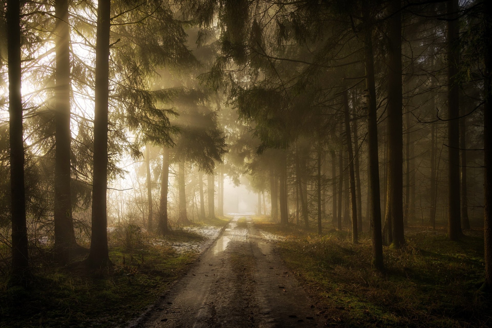 Chemin Fond Décran Hd Arrière Plan 2048x1365 Id 838614