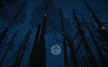 26 The Long Dark HD Wallpapers | Background Images - Wallpaper Abyss