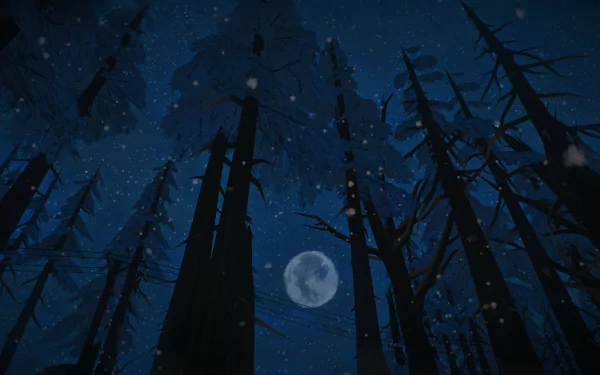 HD PC desktop wallpaper from the video game The Long Dark: moonlit night over a snowy pine wood, stars glittering through towering trunks.