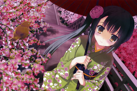 parasol cherry blossom bird black hair long hair kimono Anime Original Anime Bird HD Desktop Wallpaper | Background Image